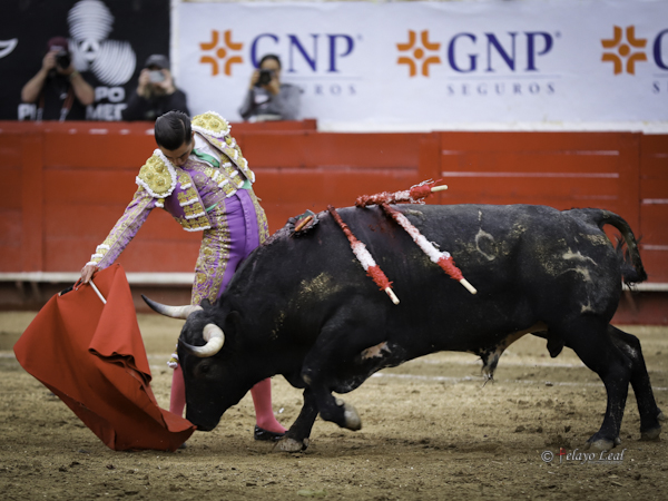 Series con temple por el derecho