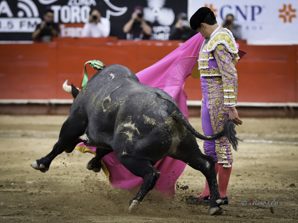 Abrochando el saludo