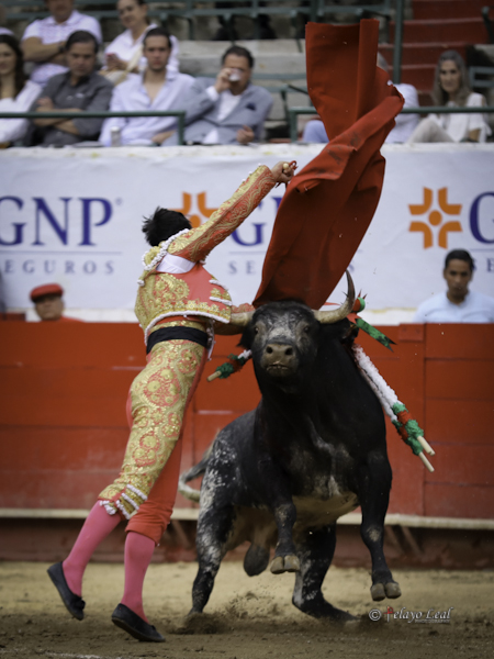 Se col� el burraco