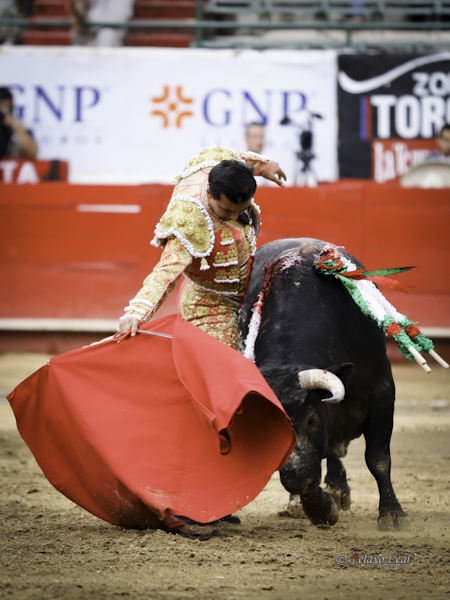 Ce�idos muletazos en redondo