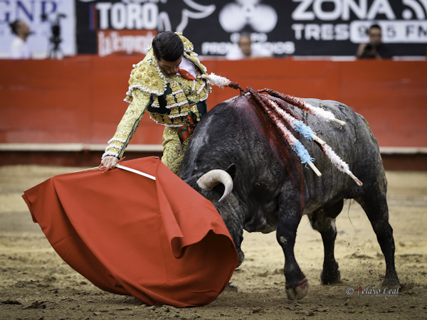 Pasado por la fajilla