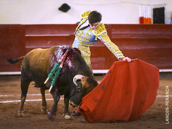 Le extrajo muletazos que calaron