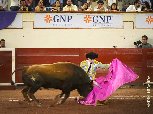 Ver�nicas rodilla en tierra