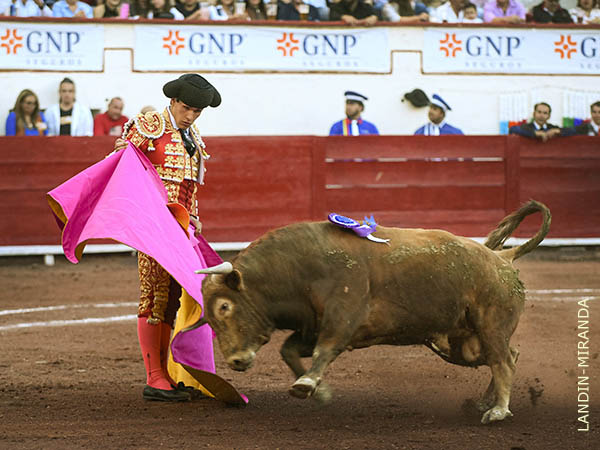 Sereno y determinado a ganar