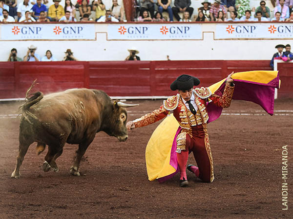 Recibo en los medios