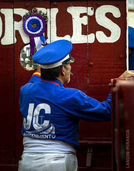 La divisa en el toril