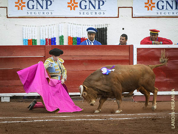 Mario Vilau, de hiojos