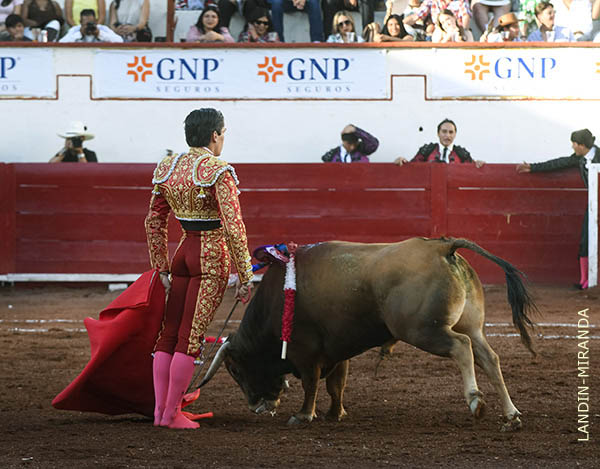 Desmayando el enga�o