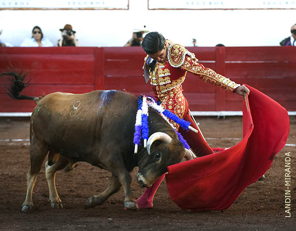 Sus formas gustaron a los aficionados
