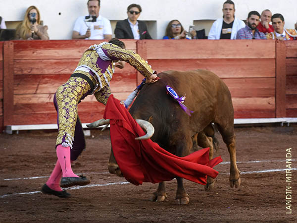 Ricaud en la suerte suprema