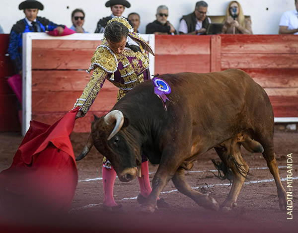 Por encima de su lote