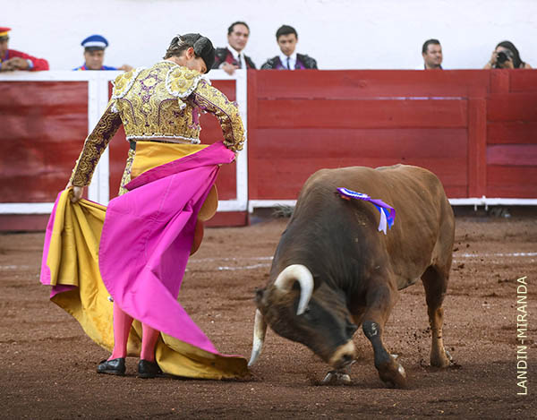 Las chicuelinas de Emilio