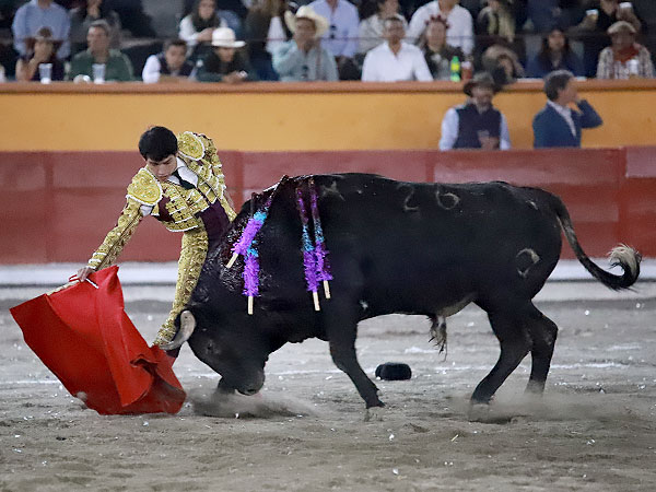 Un torero en plenitud