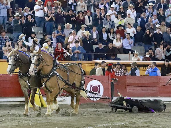 Gran Toro de Te�filo G�mez