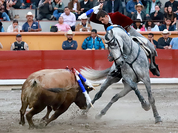 Buen Toro de Te�filo G�mez