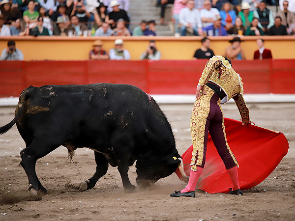 Calidad del Toro de La Soledad