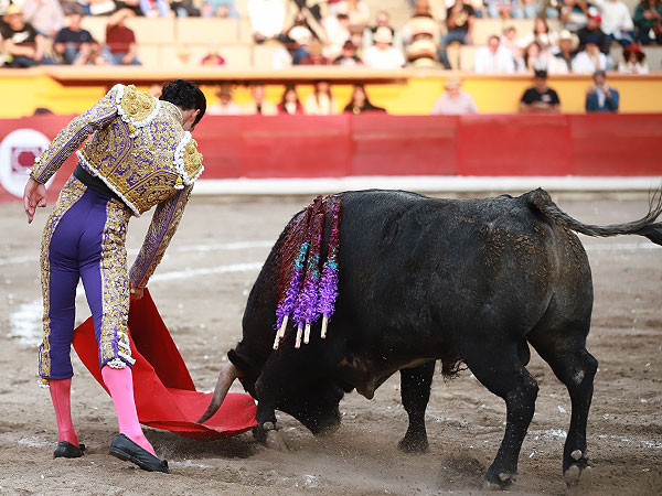 Metiendo la cara con clase