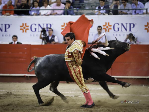 Etapa final de la faena