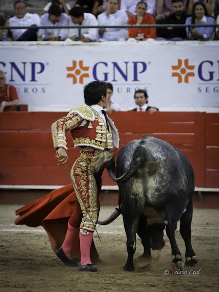 La mirada en el tendido