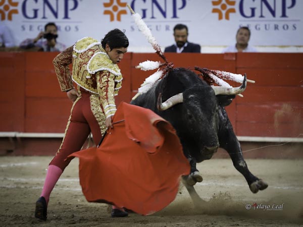 La furia del c�rdeno