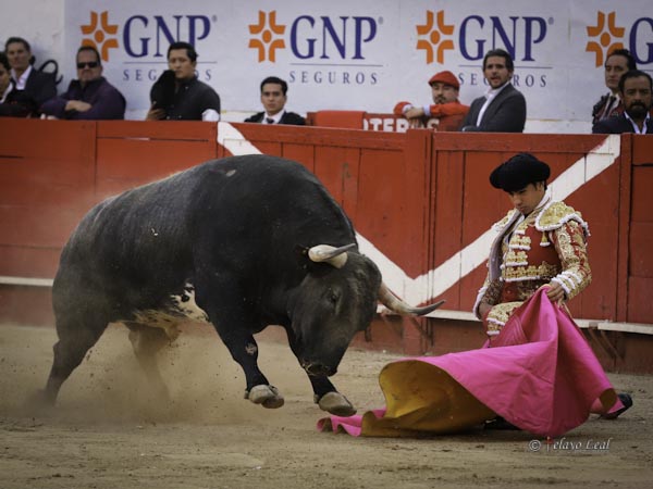 Saludo rodilla en tierra