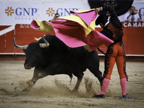 Rivalidad en las suertes de capote