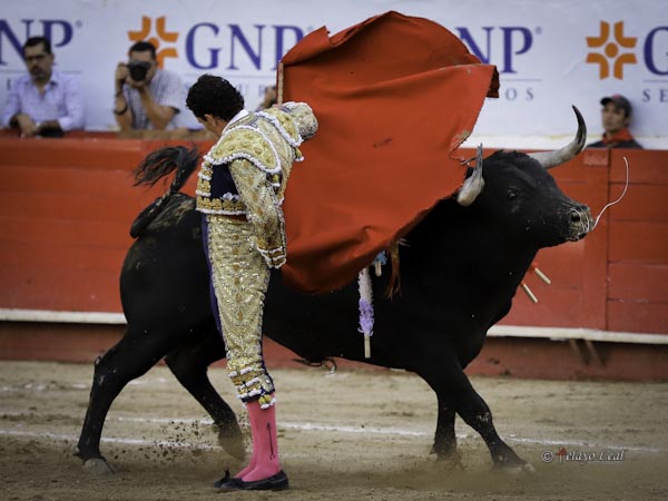 Las bernadinas de El Galo