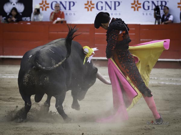 Abrochando el saludo