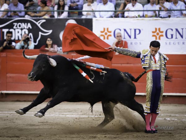 Vertical en el p�ndulo