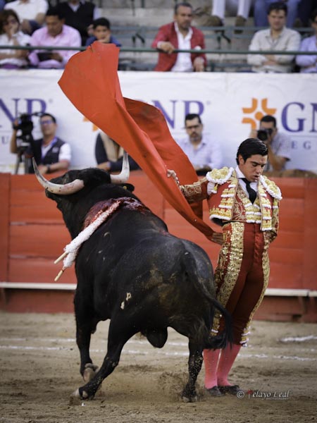 Preparando la suerte final