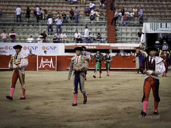 Tercia de banderilleros en Guadalajara