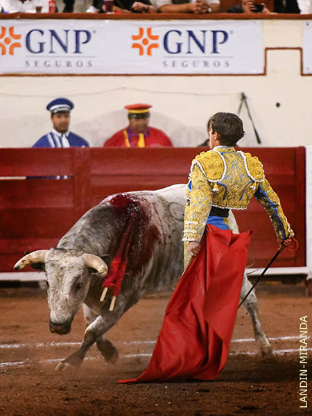 Hizo rugir los tendidos