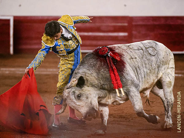 Ol�s profundos en la San Marcos