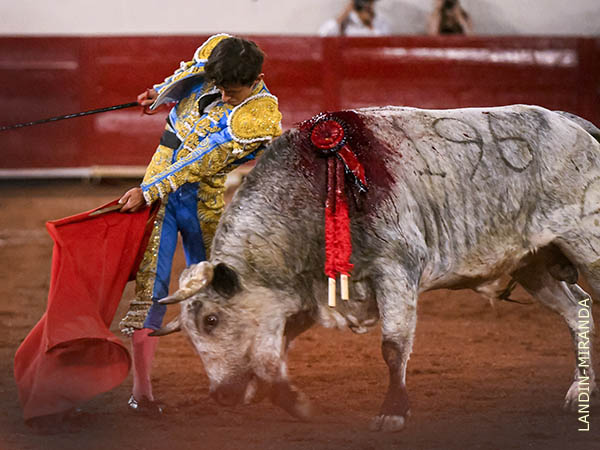 Trazos para guardar en la memoria
