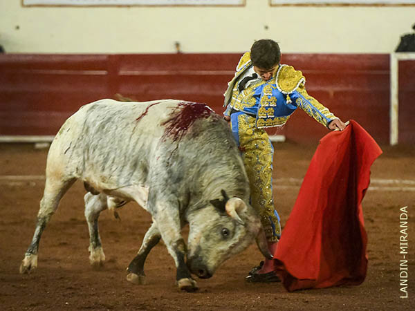 Si que alborot� el gallinero