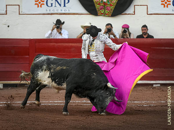 Pedro Andr�s luci� con el capote