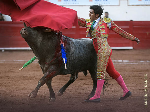 Mantuvo el inter�s del respetable