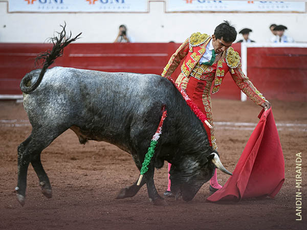 Jaleado en los naturales