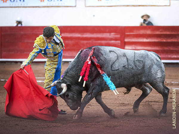 Buen concepto de toreo cl�sico