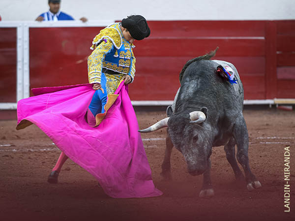 Remate en los medios