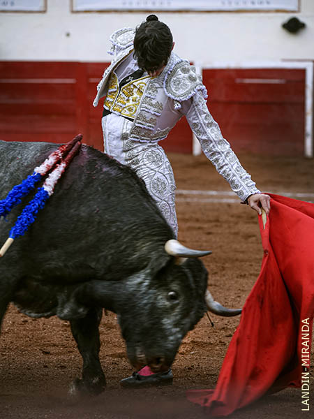 Buena colocaci�n y manejo de los terrenos