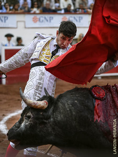 Pendiente de su humanidad