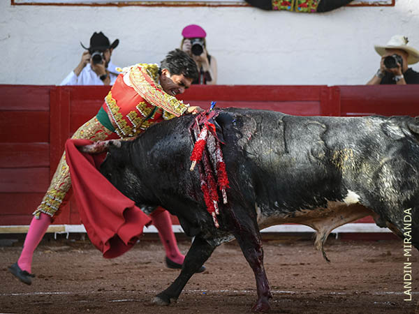 Un ca��n en el brazo