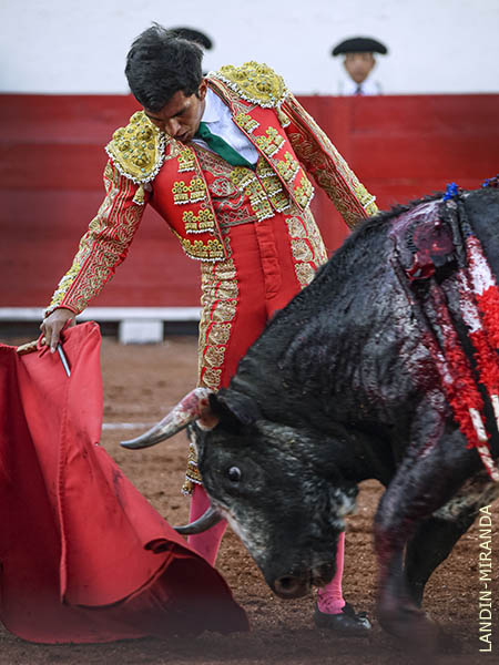 Destellos con la franela