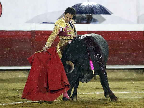 Regalo bajo la lluvia