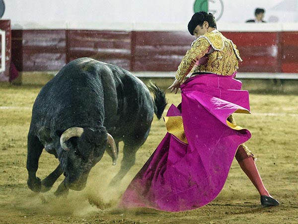 Jos� Mauricio y el s�ptimo de obsequio