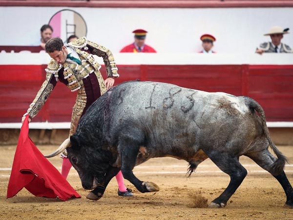 Lucida faena de Arturo