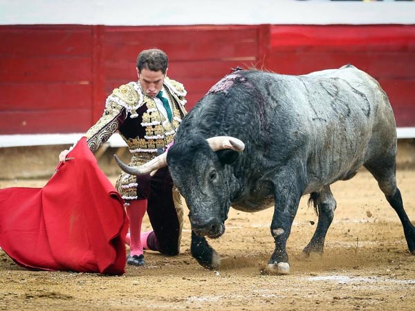 Pr�logo rodilla en tierra