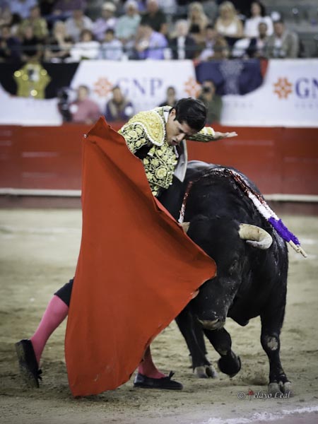 Sentimiento expresivo