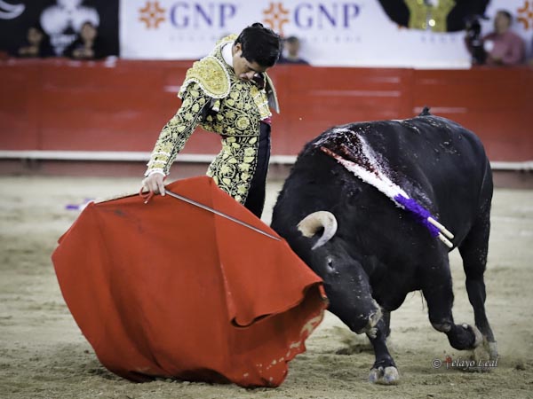 Entonado con la muleta